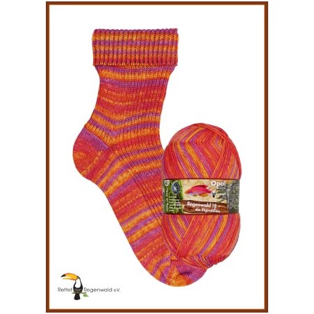 Opal Regenwald 18 - kleuren geinspireerd door het regenwoud.