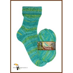 Opal Regenwald 18 - kleuren geinspireerd door het regenwoud.