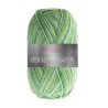 Merino Extrafein heerlijk warme 6 draads sokkenwol van Pro Lana