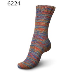 Regia 6 draads Vibrant Color lekkere dikke sokkenwol