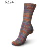 Regia 6 draads Vibrant Color lekkere dikke sokkenwol