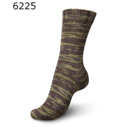 Regia 6 draads Vibrant Color lekkere dikke sokkenwol