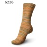 Regia 6 draads Vibrant Color lekkere dikke sokkenwol