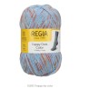 Regia Happy Dots Color heerlijke 4 draads sokkenwol.