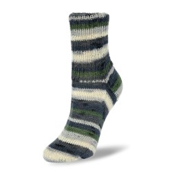 Rellana Flotte Socke Aurelia garen met prachtige weldadige kleuren.