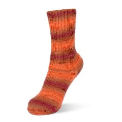 Rellana Flotte Socke Degrade garen met prachtige weldadige kleuren.