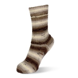Rellana Flotte Socke Degrade garen met prachtige weldadige kleuren.