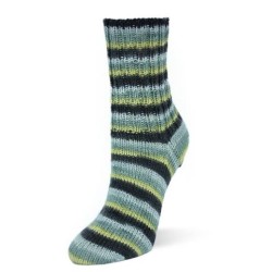Rellana Flotte Socke Merino Forever sokkenwol met schitterende kleuren