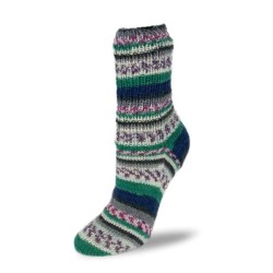 Rellana Flotte Socke Nabucco sokkenwol met schitterende kleuren.