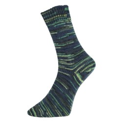 Pro Lana Golden Socks Hornberg gezellig gekleurde gestreepte sokken voor jou.