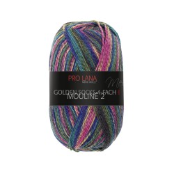 Pro Lana Golden Socks Mouline 2 gezellig gekleurde gestreepte sokken voor jou.