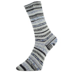 Pro Lana Golden Socks Murgtal gezellig gekleurde gestreepte sokken voor jou.