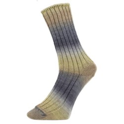 Pro Lana Golden Socks Schluchsee gezellig gekleurde gestreepte sokken voor jou.