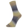 Pro Lana Golden Socks Schluchsee gezellig gekleurde gestreepte sokken voor jou.
