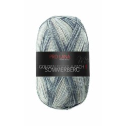 Pro Lana Golden Socks Sommerberg gezellig gekleurde gestreepte sokken voor jou.