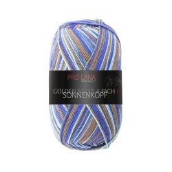 Pro Lana Sonnenkopf gezellig gekleurde gestreepte sokken voor jou.