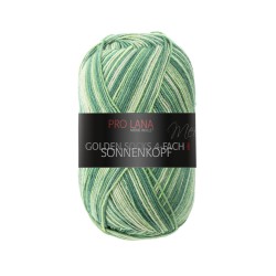 Pro Lana Sonnenkopf gezellig gekleurde gestreepte sokken voor jou.