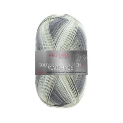 Pro Lana Golden Socks Waldhaus gezellig gekleurde gestreepte sokken voor jou.