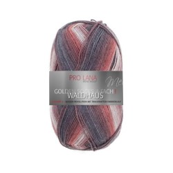 Pro Lana Golden Socks Waldhaus gezellig gekleurde gestreepte sokken voor jou.