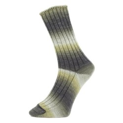 Pro Lana Golden Socks Waldhaus gezellig gekleurde gestreepte sokken voor jou.