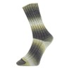 Pro Lana Golden Socks Waldhaus gezellig gekleurde gestreepte sokken voor jou.