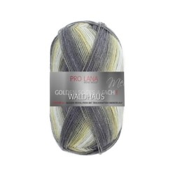 Pro Lana Golden Socks Waldhaus gezellig gekleurde gestreepte sokken voor jou.