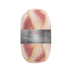 Pro Lana Golden Socks Waldhaus gezellig gekleurde gestreepte sokken voor jou.