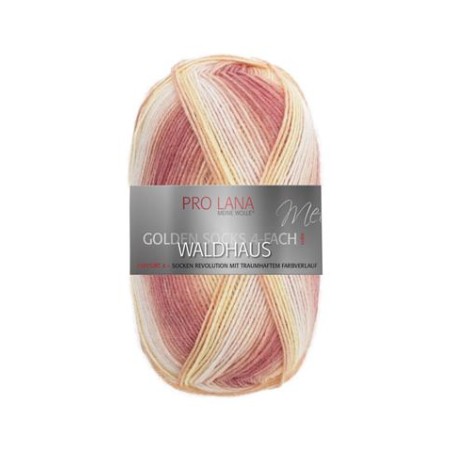Pro Lana Golden Socks Waldhaus gezellig gekleurde gestreepte sokken voor jou.