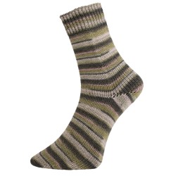 Pro Lana Golden Socks cotton stretch Alicante 10 gezellig gekleurde gestreepte sokken voor jou.