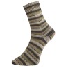 Pro Lana Golden Socks cotton stretch Alicante 10 gezellig gekleurde gestreepte sokken voor jou.