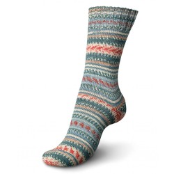 Superkwaliteit 4-draads sokkenwol van Regia ontworpen door Arne en Carlos.