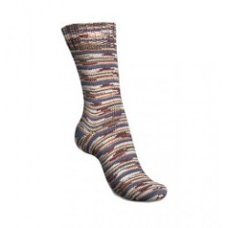 Superkwaliteit 4-draads sokkenwol van Regia met katoen.