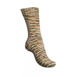 Superkwaliteit 4-draads sokkenwol van Regia met katoen.