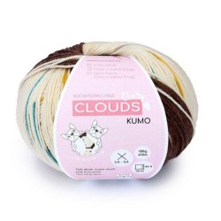 Crasy Wolle Clouds garen met Aloe Vera met prachtige weldadige kleuren.