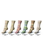 Design Line Dee Hardwicke